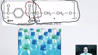 5 Important Macromolecules [upl. by Joe]