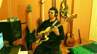 Primi ovaj buket  MIKI BASS cover [upl. by Skipper504]