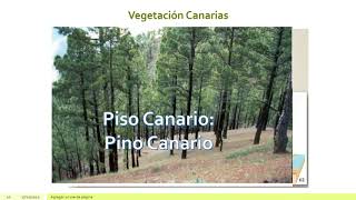 Geografía España EVAU Agua y vegetación Sesión 6 Vegetación de ribera montaña y de canarias [upl. by Blodget]