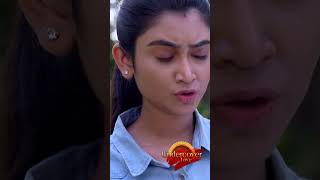 Zee World Shorts Undercover Love  July  Deepthi Manne Darsh Chandrappa [upl. by Steiner65]