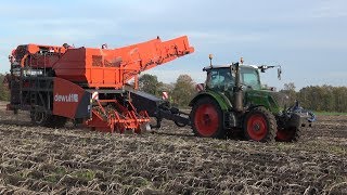 Aardappels rooien met Fendt 312 Vario en Dewulf RS2060 getrokken 2rijige zeefbandrooier 2018 [upl. by Elleira]