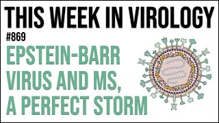 TWiV 869 EpsteinBarr virus and MS a perfect storm [upl. by Hastie32]