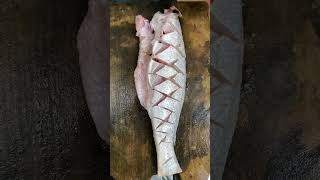 Silver Croaker Fish Cutting 😋 FishHouse shorts seafood trending fishing fish fishinglife [upl. by Camala]