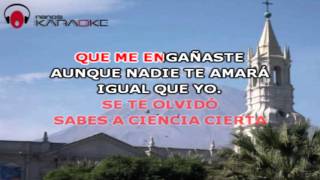 ECHAME A MI LA CULPA  KARAOKE Albert Hammond [upl. by Kimball530]