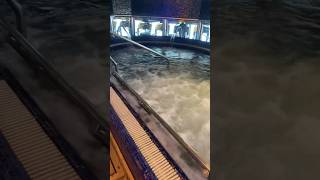 Carnival Dream Thermal Spa Thallaso Pool Steam Rooms Aromatherapy and Sauna carnivalcruiseline [upl. by Lenette687]