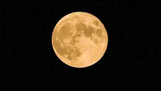 Tuesdays full moon will be a harvest moon a supermoon and partially eclipsed [upl. by Stochmal]