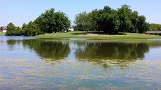 Fishing in Little Elm TX [upl. by Aciret416]