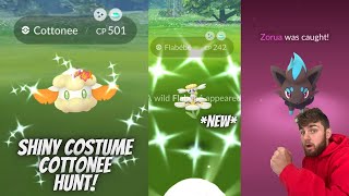 ✨LAST CHANCE For Shiny Costume Cottonee amp Shiny Flabebe In Pokemon Go✨ [upl. by Cinom]