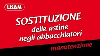 Manutenzione Abbacchiatori Lisam  Sostituzione Astine [upl. by Sheaff]