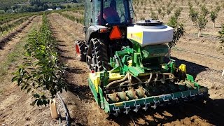 Seeding orchard cover crop using Moreni power harrow [upl. by Asirrak]