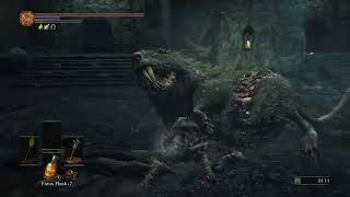 Dark Souls III  Strength Part 24  Profaned Capital [upl. by Matejka918]