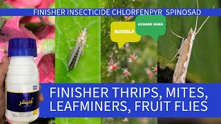 Finisher Insecticide by Rudolf Thrips mites sucking insects Chlorfenpyr  Spinosad Kissan Ghar [upl. by Helbonia]