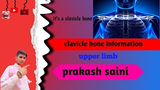 clavicle bone information 100ksubscribe 😲 [upl. by Kenzi]