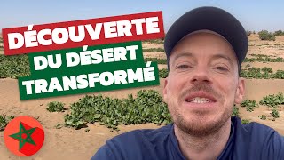 Voyage dans le désert marocain  VLOG de mon 40ème séjour avec Maroc en Conscience [upl. by Ideih]