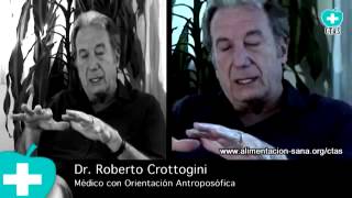 Medicina Antroposófica y el Cáncer  Dr Roberto Crottogini [upl. by Hiroshi382]