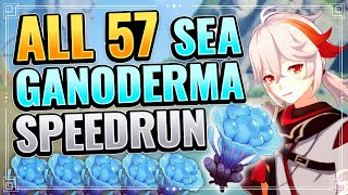 ALL 57 Sea Ganoderma Locations SPEEDRUN Guide Kazuha Ascension Materials Farming Genshin Impact [upl. by Aztinad]