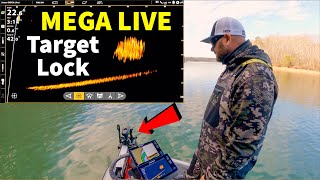 MEGA Live and Target Lock Advanced Turret For Live Sonar Transducer [upl. by Beisel520]