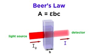 Spectrophotometry and Beers Law [upl. by Marden361]