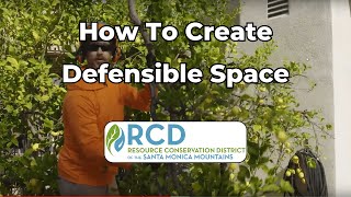 How to Create Proper Defensible Space [upl. by Airasor]