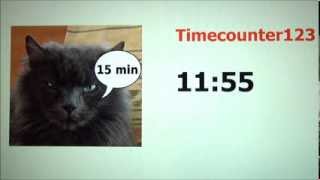 Timer 15 minutes [upl. by Madson]