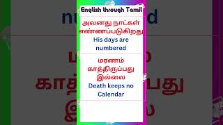 965 Spoken English through Tamil  Spoken English in Tamil spokenenglishintamil shorts yt [upl. by Lilias]