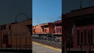 CP 8781 Hapag Lloyd trailing on CPKC 230 [upl. by Aihsyla934]