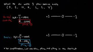 BIOCHEM 14  Amino Acid Ionization 2 and Isoelectric pH [upl. by Luoar]