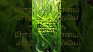 Thenpandi thamizle [upl. by Brothers]