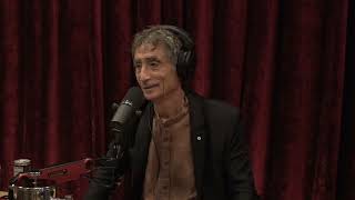 Joe Rogan Experience 1869  Dr Gabor Mate [upl. by Felty]