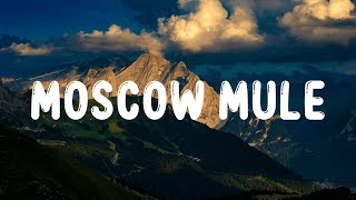 Bad Bunny  Moscow Mule LetraLyrics [upl. by Nonnag]