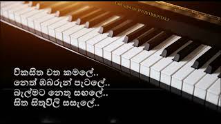 විකසිත වත කමලේ Wikasitha Watha Kamale Piano Cover [upl. by Thisbe]