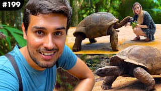 The Giant Aldabra Tortoises  Longest Living Reptiles 190 years  Dhruv Rathee Vlogs [upl. by Hike]