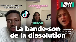 Sur TikTok la jeunesse « emmerde » une fois de plus le « Front national » [upl. by Anohr58]