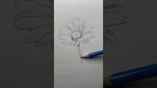 Draw a flower 🌸 Easy drawing lesson for beginners on how to draw a flower drawinglessonhowtodraw [upl. by Arimak]