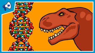 What is DNA and How Does it Work [upl. by Russian]