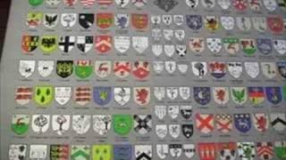 Irish Coats of Arms Crests Family Tartans Heraldry True or False [upl. by Nawotna912]