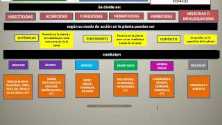 ESNOL CAPÍTULO 2 CLASIFICACIÓN PRODUCTOS SEGÚN SU ACCIÓN [upl. by Ethbinium795]