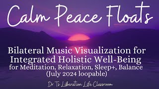 Bilateral Music VisualizationHolistic WellBeing for Meditation Relaxation Sleep Balance [upl. by Ramsdell]