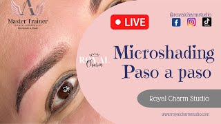 Microshading Microblading  shading Paso a paso [upl. by Artie]