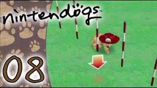 Ein neuer Meister 🐶 Lets Play NINTENDOGS 08 [upl. by Yticilef334]