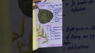 Herbarium File of medical plants3rd class yt short [upl. by Woo]