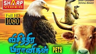 விசித்தர பிராணிகள்ஹாலிவுட் DUBBED MOVIE  சூப்பர் ஹிட் பில்ம்ஸ் HOLLYWOOD HD MOVIE NEW COLLECTION [upl. by Gothart]