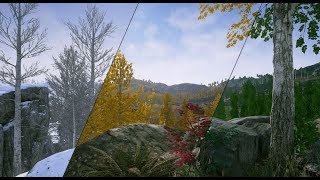 UE4  Scanned PoplarAspen Forest with Seasons  4K 60 FPS [upl. by Weathers92]