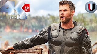 Thor Arrives In Wakanda Scene  Avengers Infinity War  MOVIE CLIP 4K [upl. by Aneerol695]