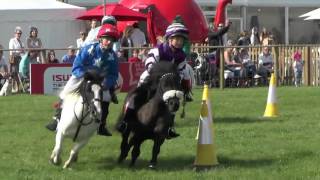 Shetland Pony Grand National [upl. by Uos]