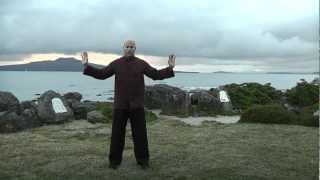 Between Heaven and Earth  full 20 minute Qigong practice session [upl. by Latsryk697]