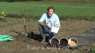 Site Selection How to Grow Blueberries [upl. by Nnyled]